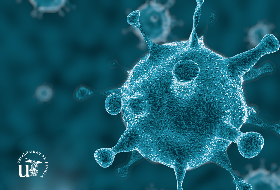 Información sobre el COVID-19