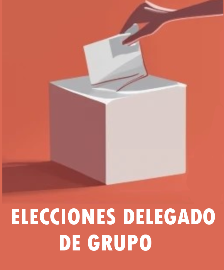 Elecciones Delegado Grupo